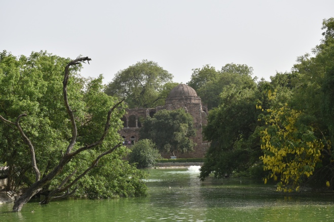 As expected, the lake below the Hauz Khas Fort was scenic enough to make you want to sit there and ponder.